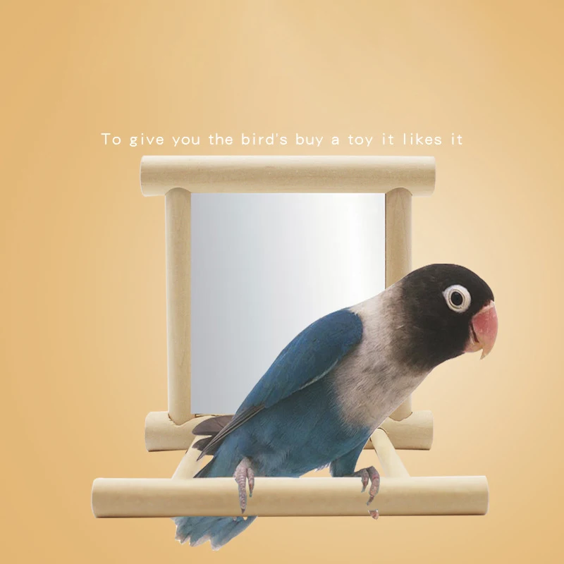 Parrot Products Parrot Bell Toy Bird Mirror Cage Stand Bar Accessories Bird Toys Bird Cage Accessories Bird Supplies
Parrot Products Parrot Bell Toy Bird Mirror Cage Stand Bar Accessories Bird Toys Bird Cage Accessories Bird Supplies