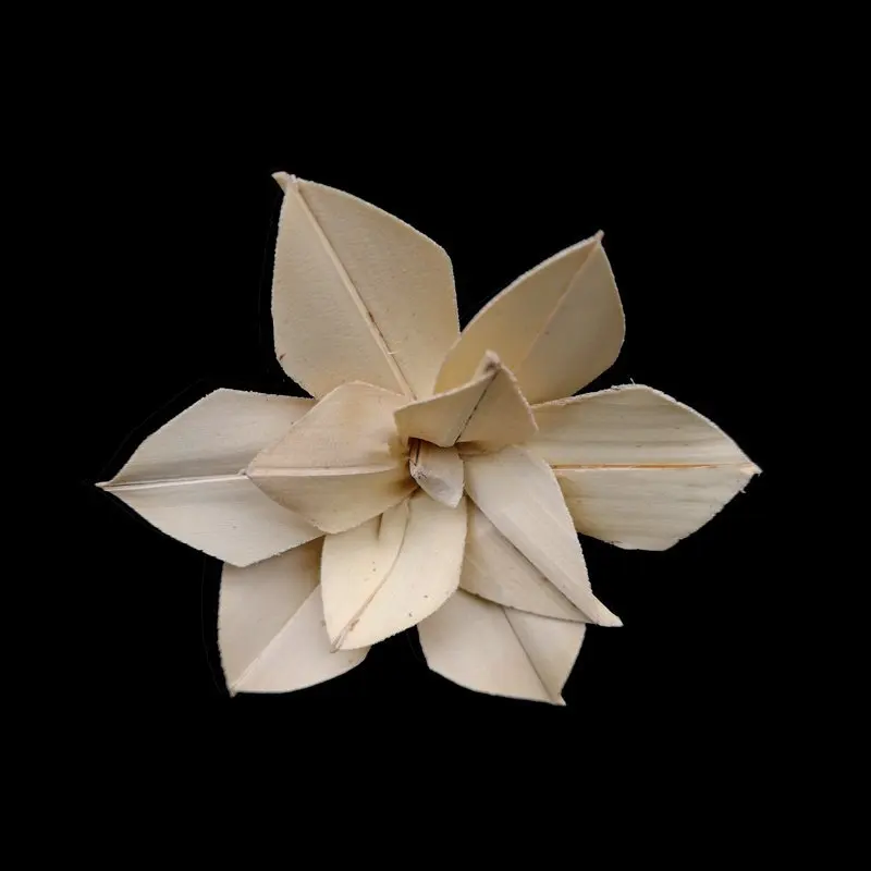 10pcs Diameter 4.5cm Dried Flower Chinese Rose
10pcs Diameter 4.5cm Dried Flower Chinese Rose