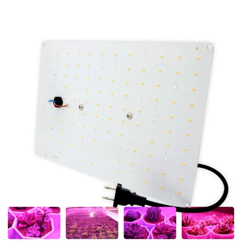 LED plant growth light 265V plant light lamp beads quantum board growth lighting full spectrum hydroponic plant light
LED plant growth light 265V plant light lamp beads quantum board growth lighting full spectrum hydroponic plant light