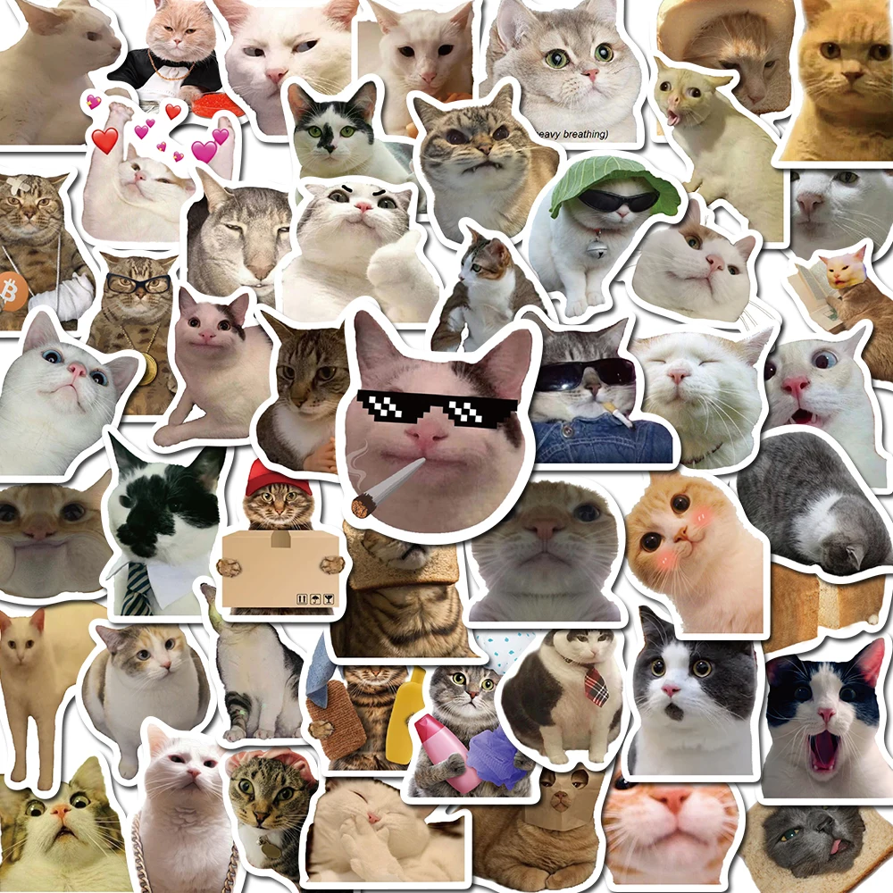 10/50PCS Funny MEME Cat Stickers Vintage For DIY Diary Notebook Guitar Motorcycle Laptop Luggage Graffiti Decals toys
10/50PCS Funny MEME Cat Stickers Vintage For DIY Diary Notebook Guitar Motorcycle Laptop Luggage Graffiti Decals toys