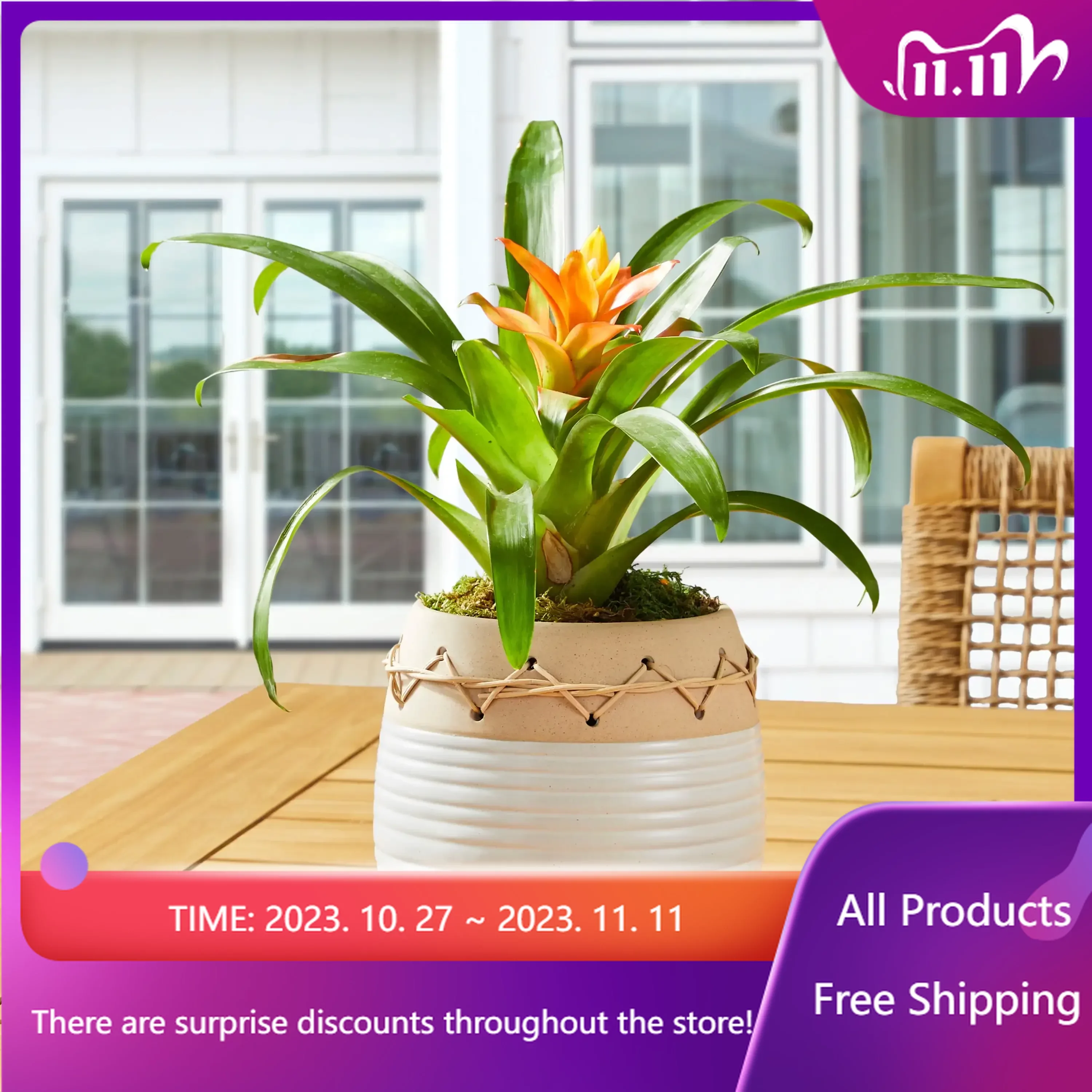 6 in Ellie Beige Ceramic Planter 2 Tone Flower Pots & Planters Fast Transportation
6 in Ellie Beige Ceramic Planter 2 Tone Flower Pots & Planters Fast Transportation