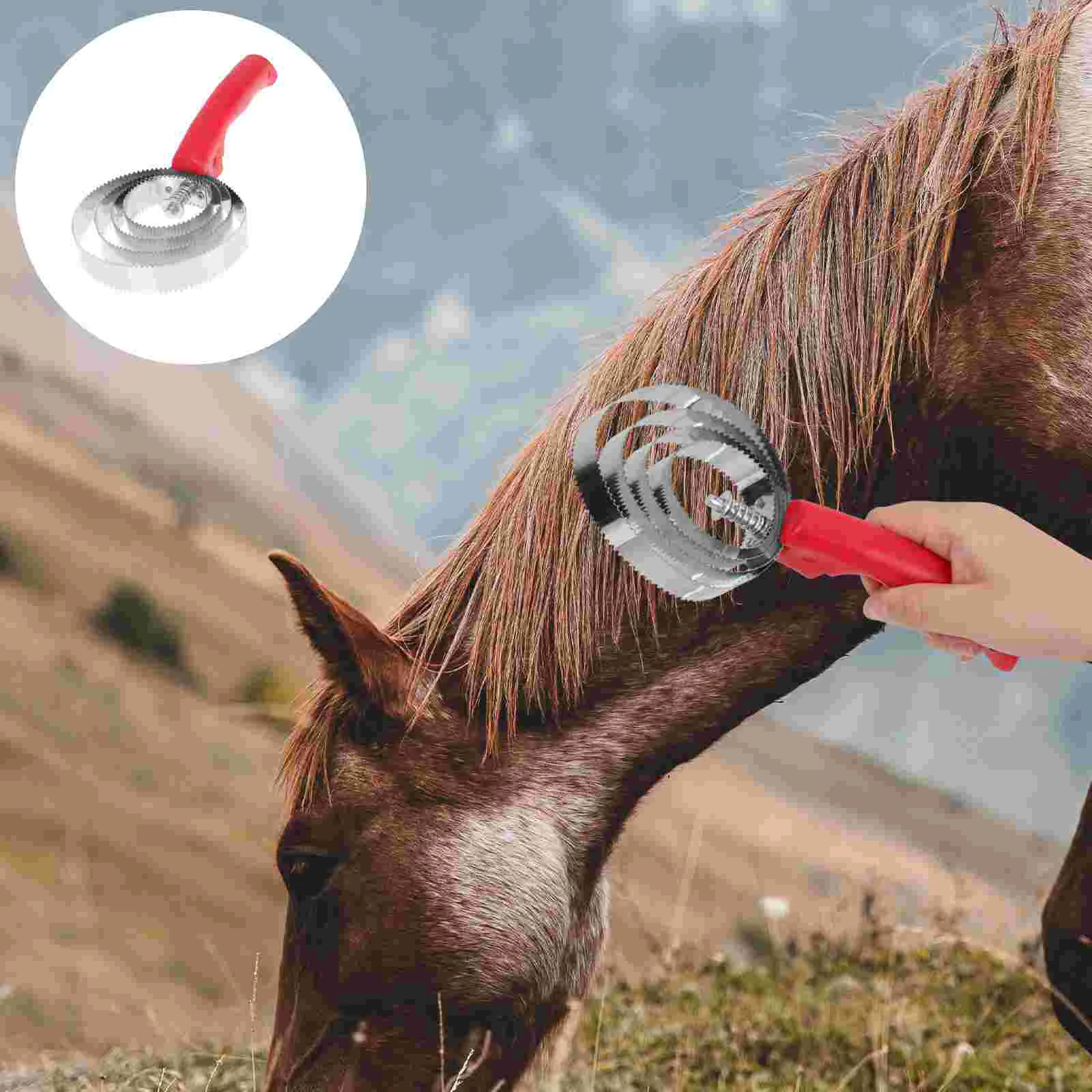 2 Pcs Massage Spatula Stainless Steel Horse Cleaning Scraper Plastic Grooming Horsehair Brush
2 Pcs Massage Spatula Stainless Steel Horse Cleaning Scraper Plastic Grooming Horsehair Brush