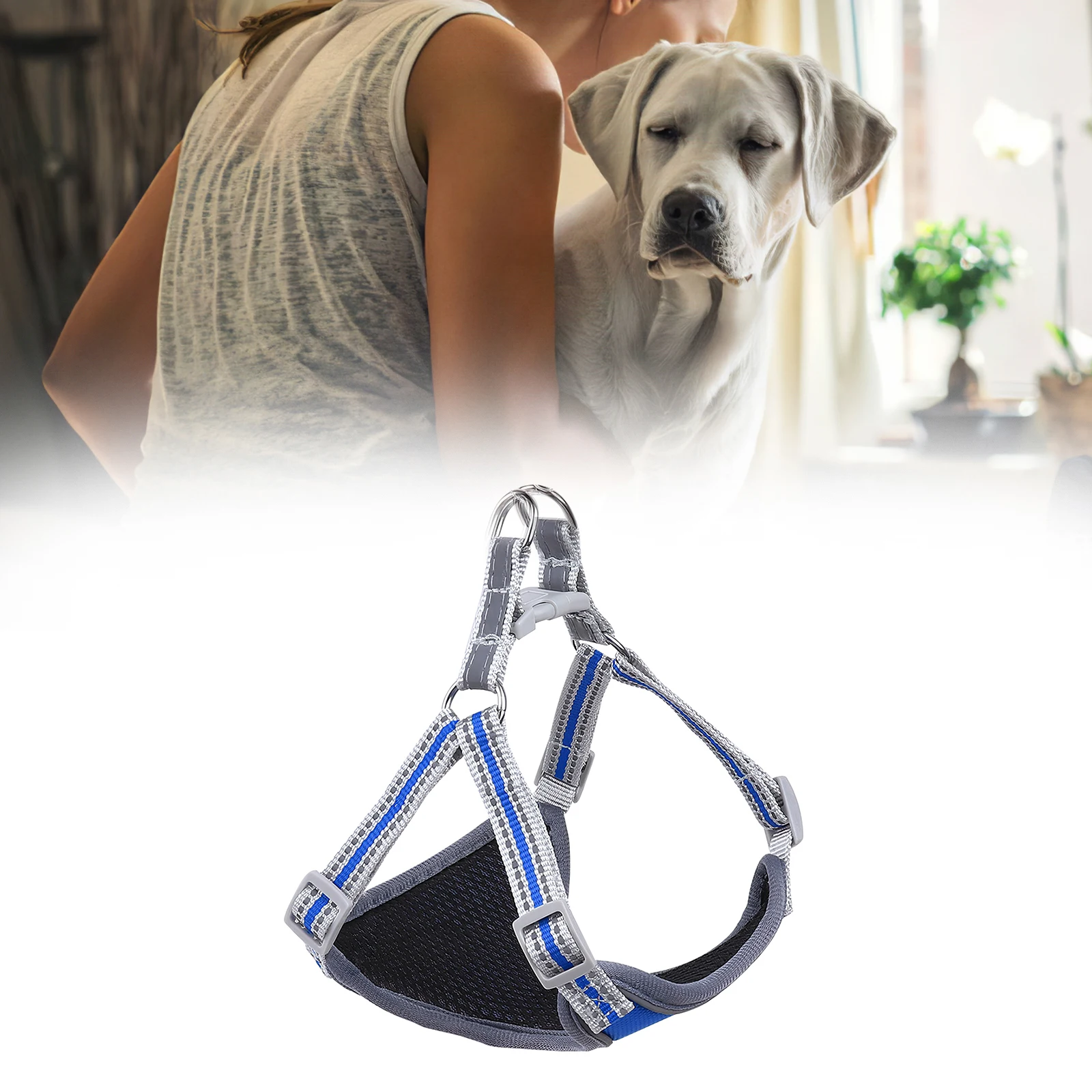 Adjustable Pet Puppy Dog Safety Harness with Leash Pure Color Dog Leash Collar Chest Harness Vest for Small Medium Dogs
Adjustable Pet Puppy Dog Safety Harness with Leash Pure Color Dog Leash Collar Chest Harness Vest for Small Medium Dogs