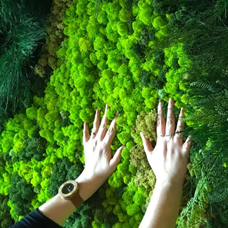 40g Quality Artificial Green Plant Eternal Life Moss Fake Flower Moss Grass Home Living Room Decorative Wall DIY Micro Landscape
40g Quality Artificial Green Plant Eternal Life Moss Fake Flower Moss Grass Home Living Room Decorative Wall DIY Micro Landscape
