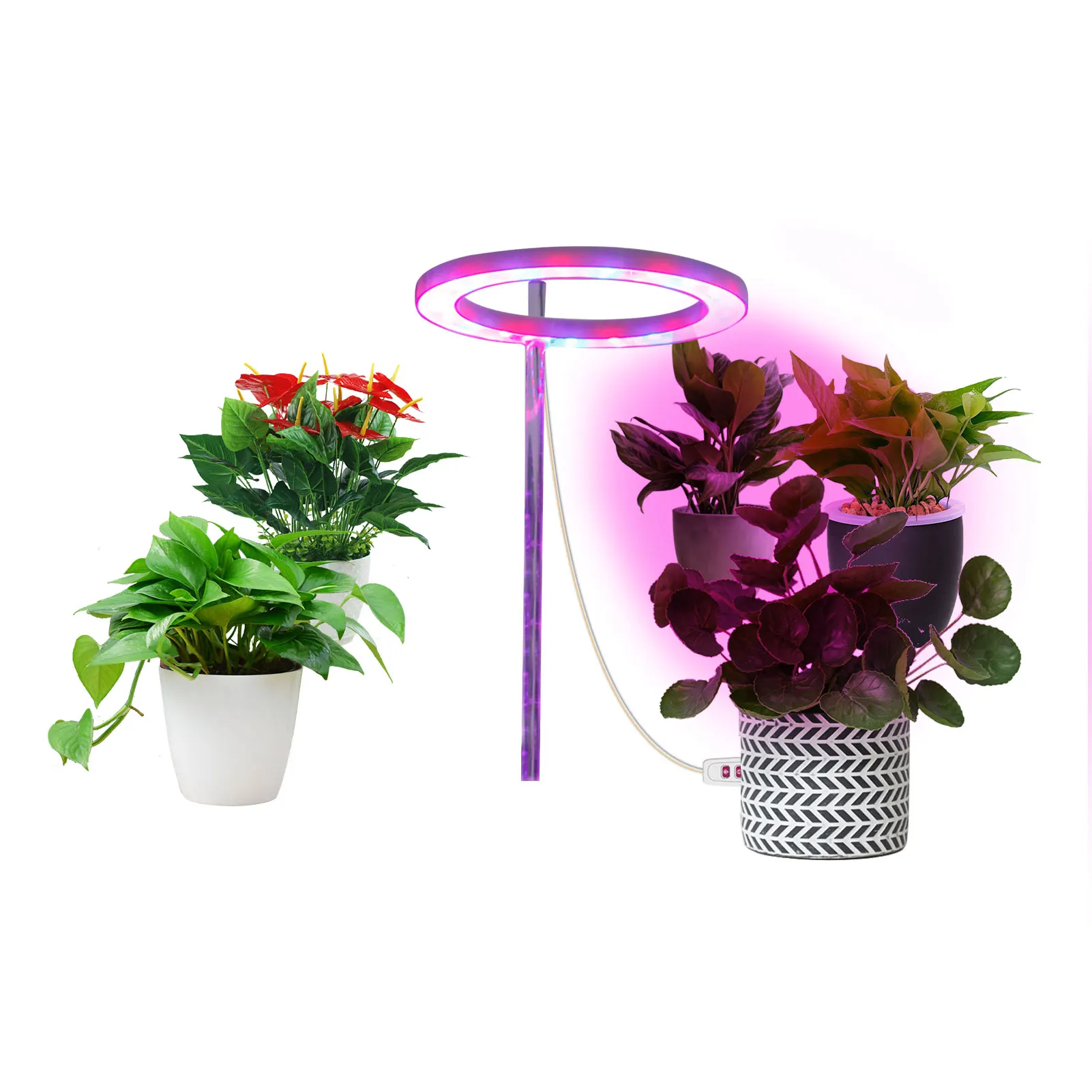 Ring LED Plant Grow Light Plant Growth Lamp Indoor Potted Plants Led Growing Lamp Succulent Desktop Hydroponics Led Growing
Ring LED Plant Grow Light Plant Growth Lamp Indoor Potted Plants Led Growing Lamp Succulent Desktop Hydroponics Led Growing