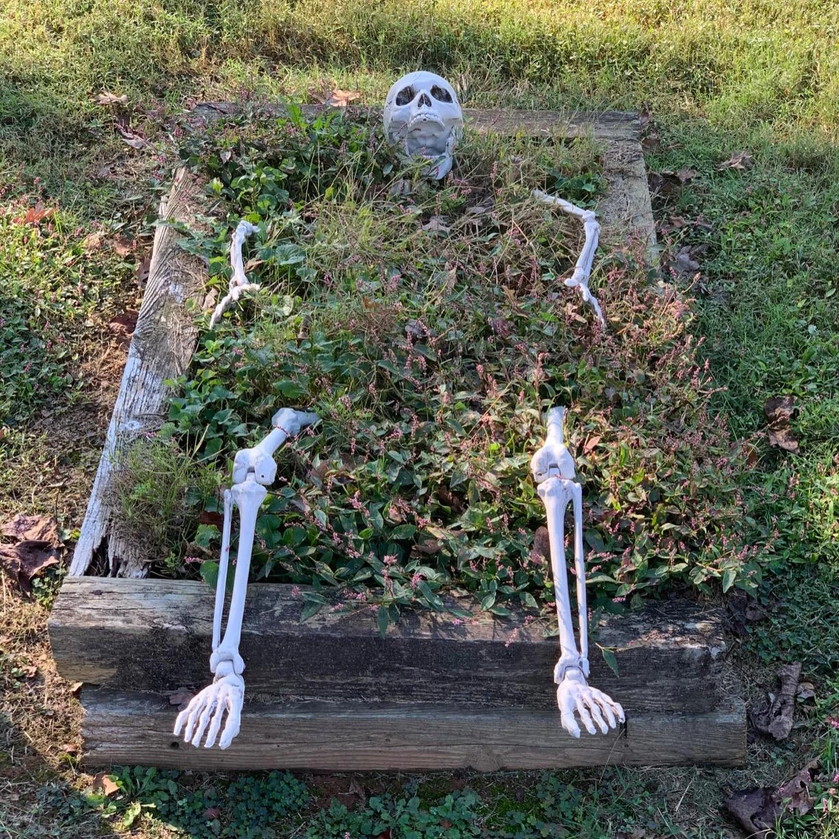 Halloween Decoration Skull Skeleton Herror Graveyard Halloween Home Garden Decor Graveyard Haloween Trick Haunted House Props
Halloween Decoration Skull Skeleton Herror Graveyard Halloween Home Garden Decor Graveyard Haloween Trick Haunted House Props