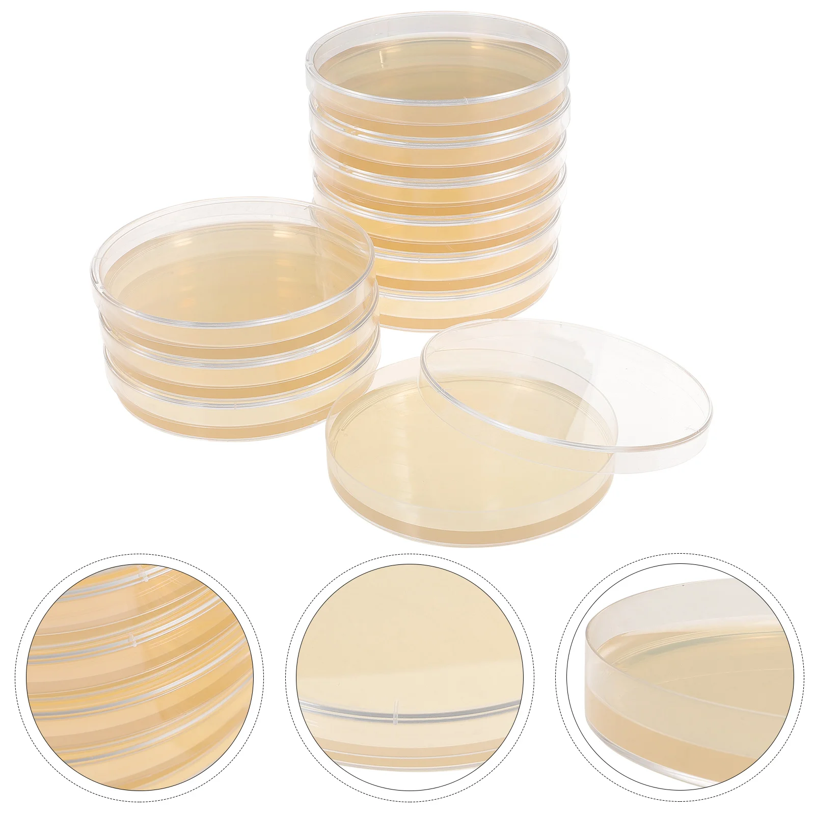 

Питательная агаровая тарелка, предварительно проливная чаша Петри, тарелки для культивирования тканей, лабораторные принадлежности, тарелки, портативные экспериментные грибы