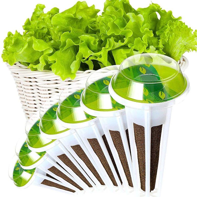 50 Pcs Plant Light Special Hydroponic Vegetable Planting Basket Soilless Cultivation Planting Basket for Planter
50 Pcs Plant Light Special Hydroponic Vegetable Planting Basket Soilless Cultivation Planting Basket for Planter
