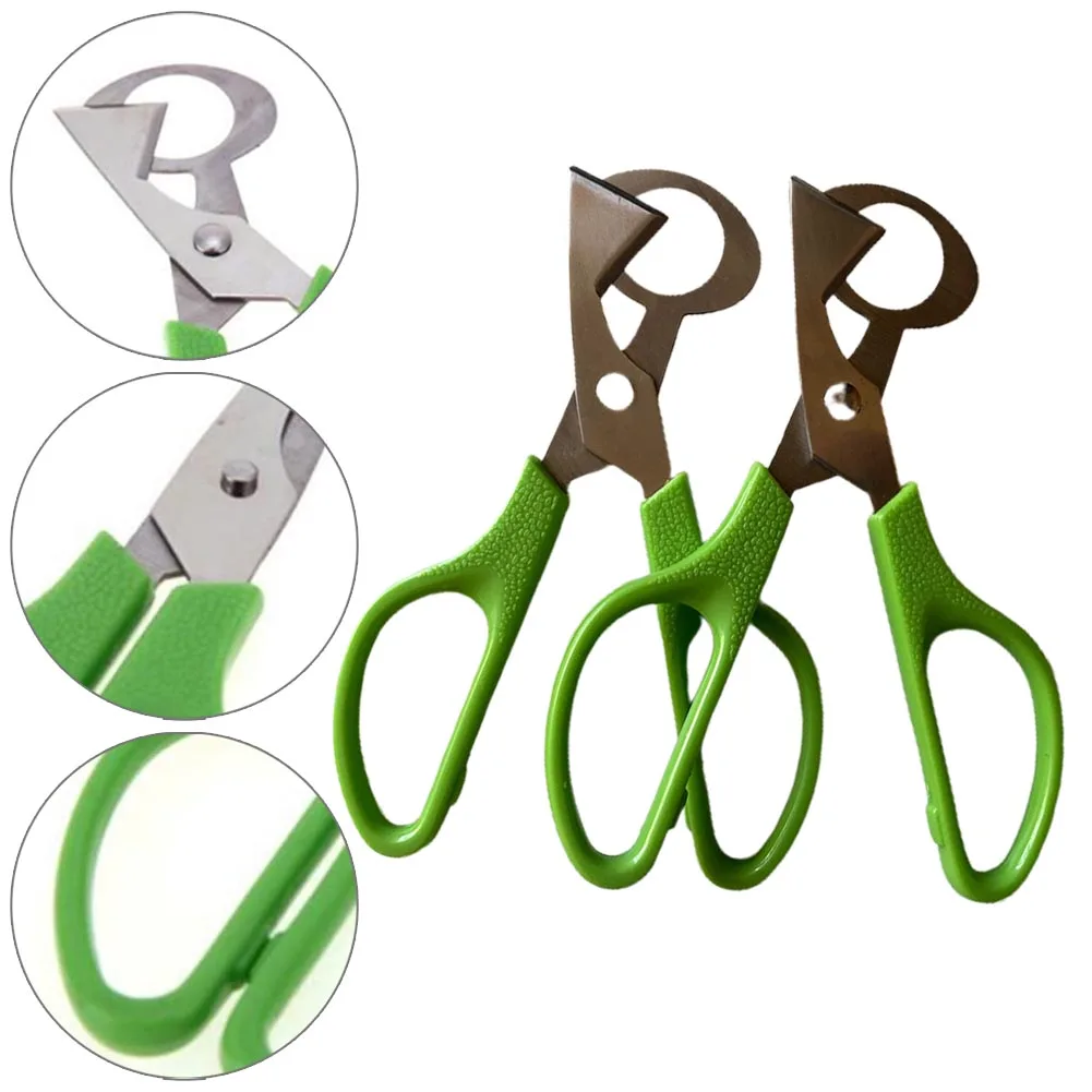 Safe Quail Egg Scissors Egg Cutter 14cm 2pc Easy Easily Cut Off The Top Of The Eggshell To Be Able To Pour Out The Egg
Safe Quail Egg Scissors Egg Cutter 14cm 2pc Easy Easily Cut Off The Top Of The Eggshell To Be Able To Pour Out The Egg