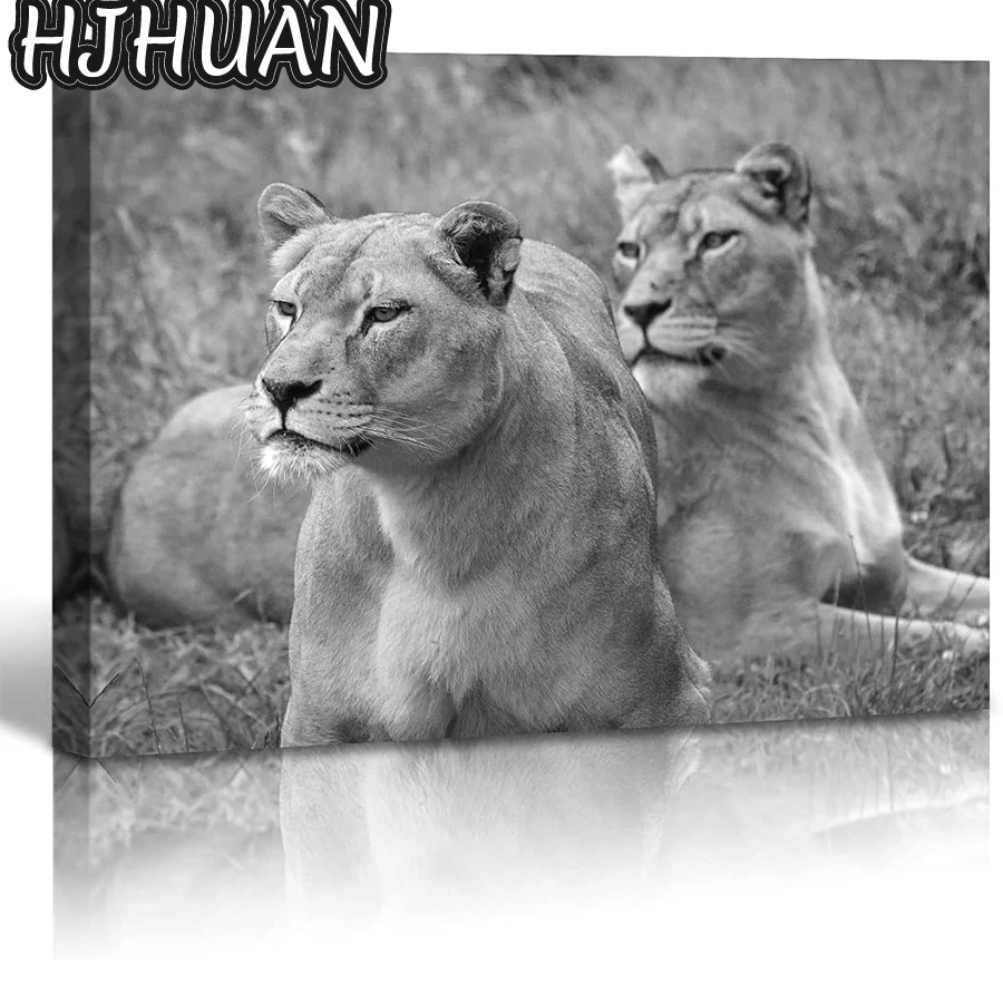 Black and white animal landscape, leopard DIY Diamond Painting Full Square Diamond Painting Embroidery Sale Rhinestones Pictures
Black and white animal landscape, leopard DIY Diamond Painting Full Square Diamond Painting Embroidery Sale Rhinestones Pictures