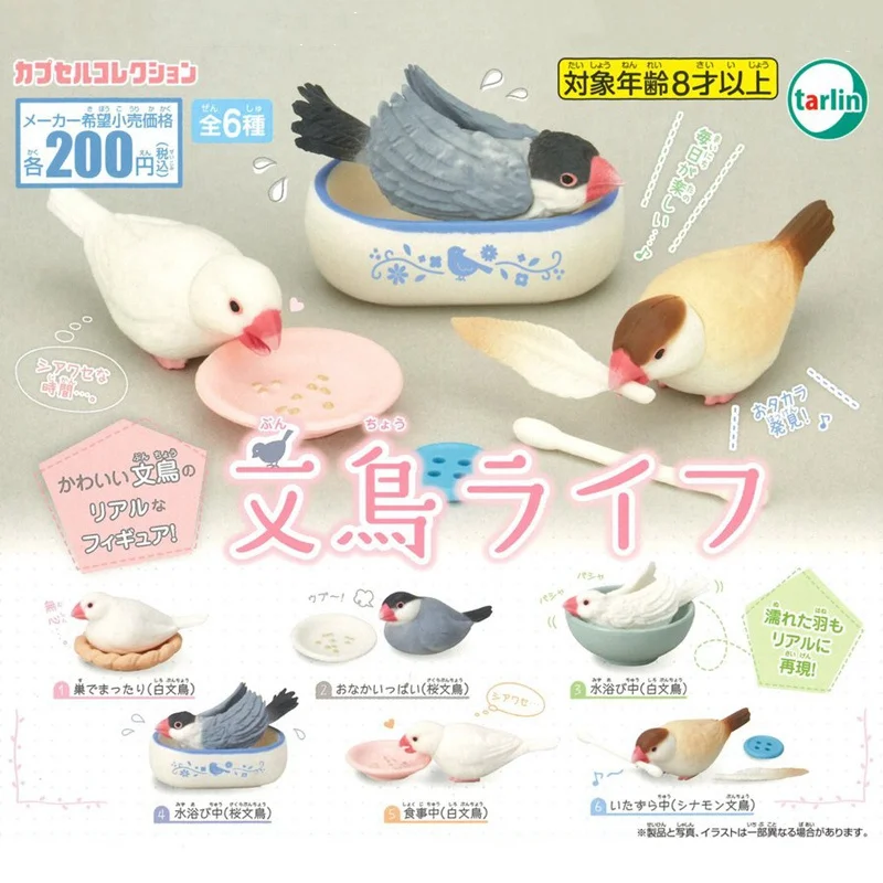 TARLIN Original Japan Gashapon Figure Anime Kawaii Bird's Daily Routine Sparrow Miniature Gacha Figurine Cute Capsule Toy
TARLIN Original Japan Gashapon Figure Anime Kawaii Bird's Daily Routine Sparrow Miniature Gacha Figurine Cute Capsule Toy