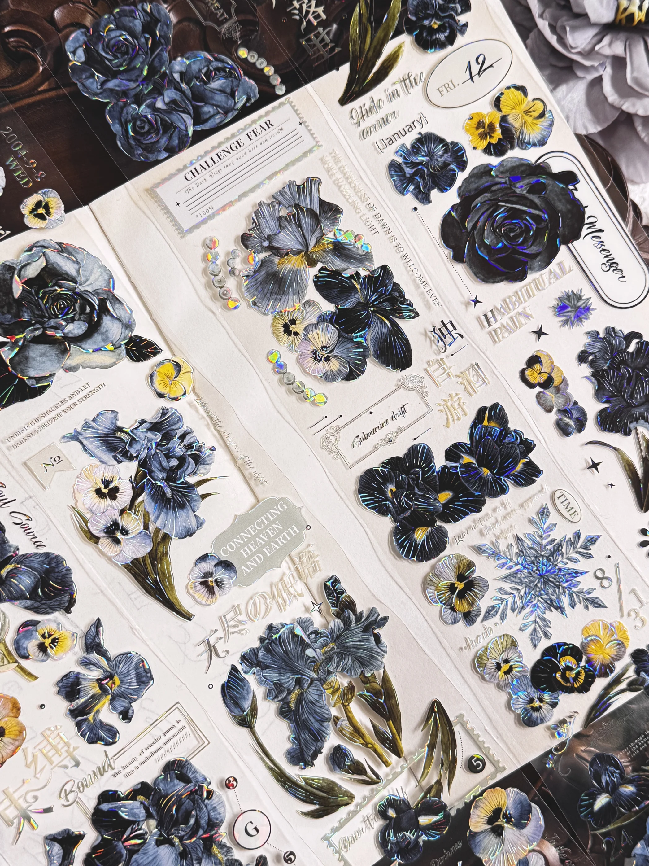 Цветочная ПЭТ-лента васи
Цветочная ПЭТ-лента васи