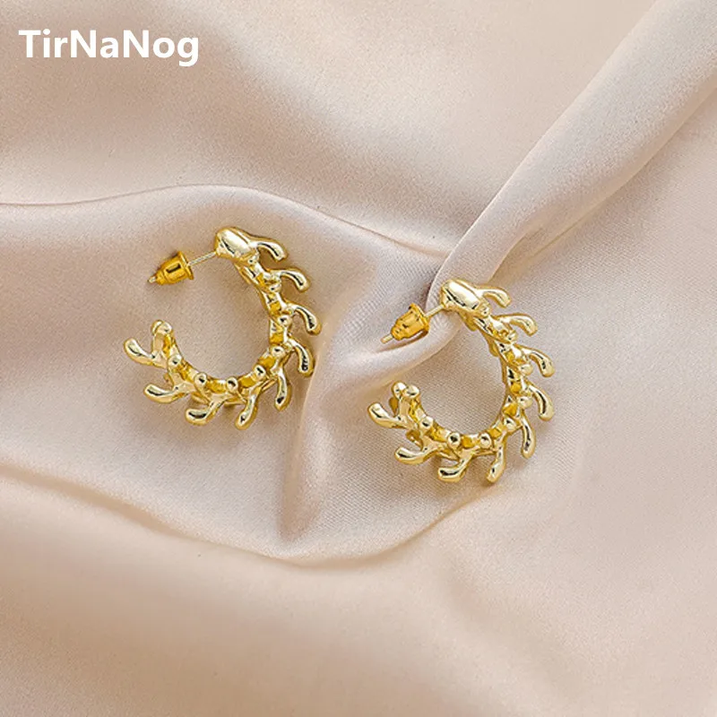 European And American Fashion Exaggerated Contracted Geometric C Shape Metal Keel Earrings Women Jewelry Party Present
European And American Fashion Exaggerated Contracted Geometric C Shape Metal Keel Earrings Women Jewelry Party Present
