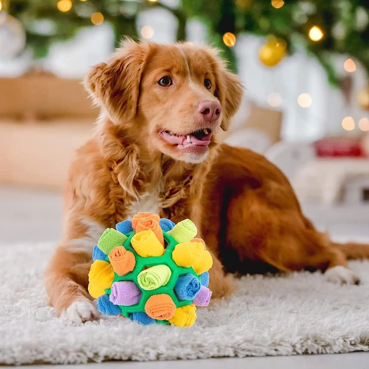 Dog Sniffing Ball Interactive Pet Snuffle Pupppy Intelligence Toy Encourage Foraging Skills Puzzle Game Food Training for Dogs
Dog Sniffing Ball Interactive Pet Snuffle Pupppy Intelligence Toy Encourage Foraging Skills Puzzle Game Food Training for Dogs