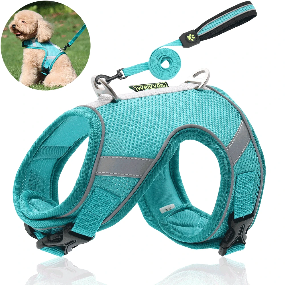 Pet Reflective Dog Harness No Pull Breathable Cat Dog Adjustable Harness Vest Walking Lead Leash Soft Mesh Chest Strap Harnesses
Pet Reflective Dog Harness No Pull Breathable Cat Dog Adjustable Harness Vest Walking Lead Leash Soft Mesh Chest Strap Harnesses