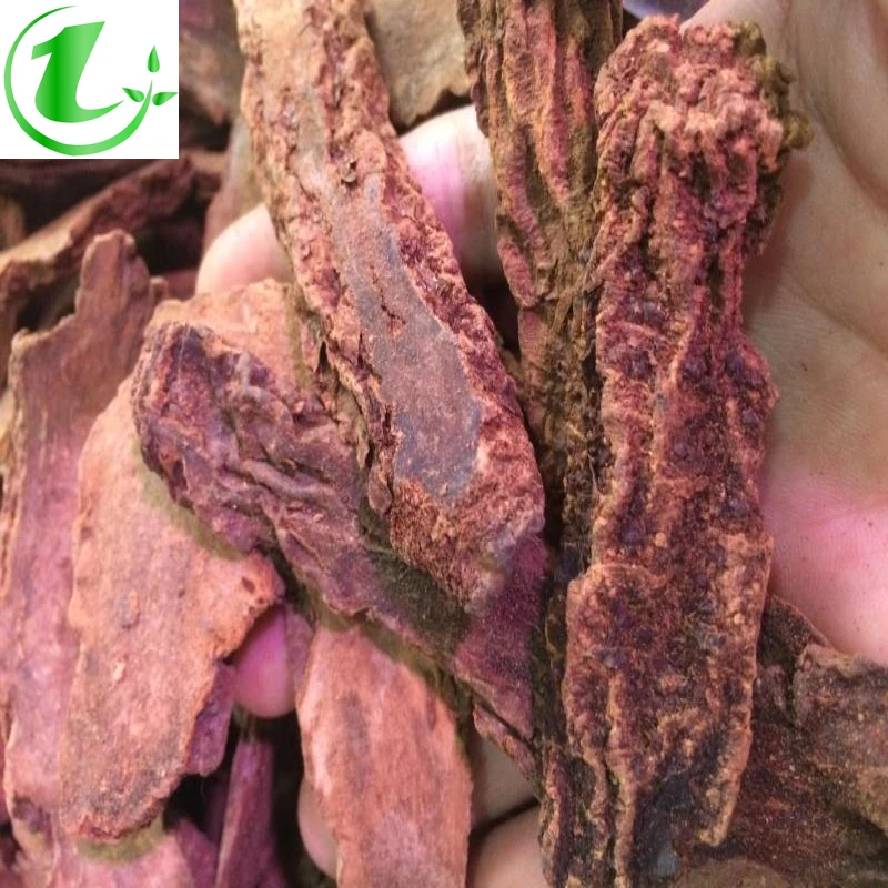 Xinjiang Wild Cynomorium, Cynomorium Cynomorium, with Wild Cistanche and Morinda Officinalis Chinese Medicinal Materials
Xinjiang Wild Cynomorium, Cynomorium Cynomorium, with Wild Cistanche and Morinda Officinalis Chinese Medicinal Materials