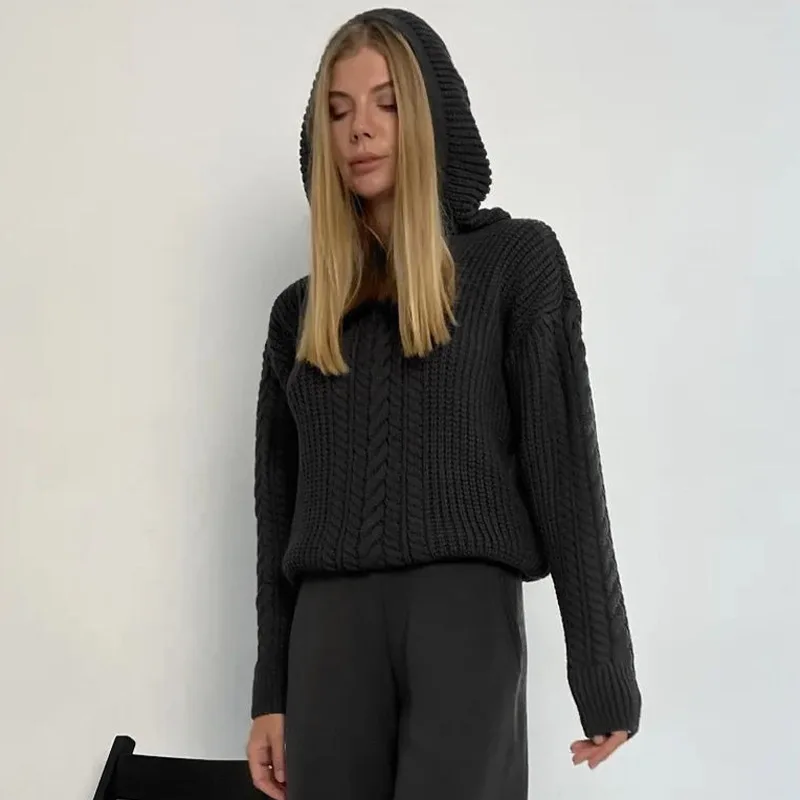Knitted Solid Hooded Sweaters Long Sleeve Oversize Sexy Sweater Top Autumn Winter Women Streetwear Goth Clothes Y2K Wholesale
Knitted Solid Hooded Sweaters Long Sleeve Oversize Sexy Sweater Top Autumn Winter Women Streetwear Goth Clothes Y2K Wholesale