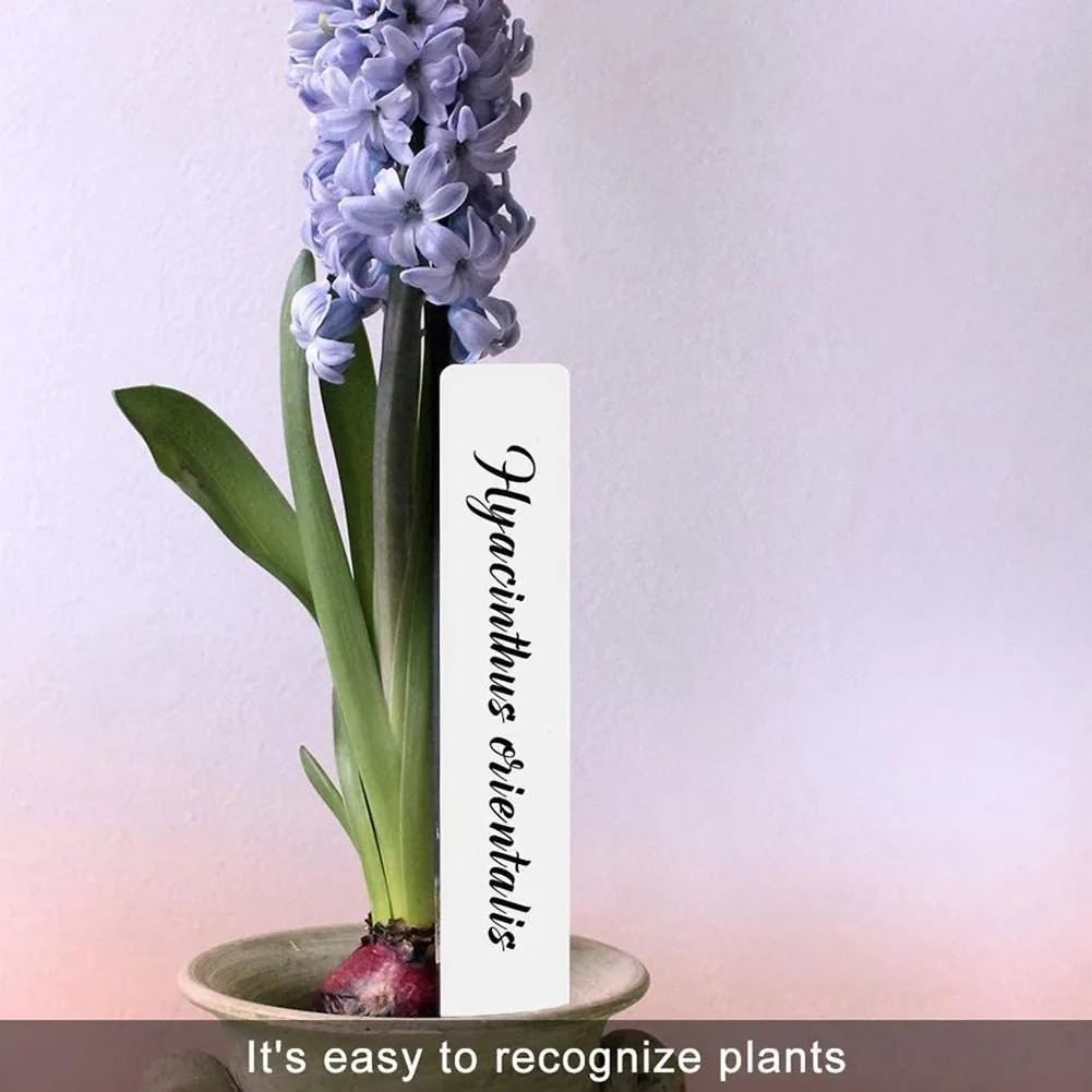 100pcs/set Plant Label 5x1cm Waterproof Plastic Garden Labels Gardening Plant Classification Sorting Sign Tag Garden Supplies
100pcs/set Plant Label 5x1cm Waterproof Plastic Garden Labels Gardening Plant Classification Sorting Sign Tag Garden Supplies