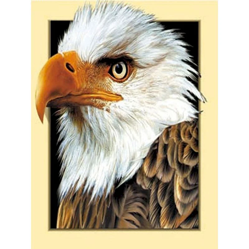 GATYZTORY Diamond Painting Eagle Kits Handmade Needlework DIY Diamond Embroidery Animal Mosaic Rhinestone Picture
GATYZTORY Diamond Painting Eagle Kits Handmade Needlework DIY Diamond Embroidery Animal Mosaic Rhinestone Picture
