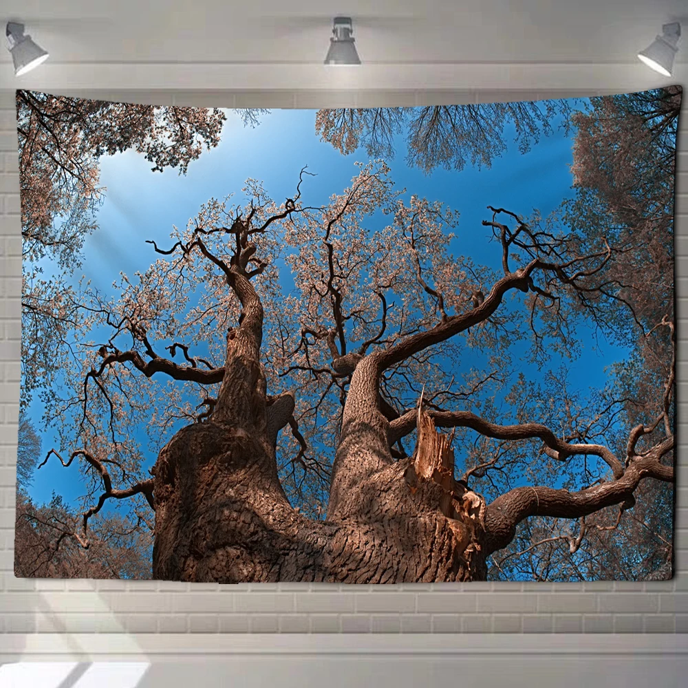 Natural forest tapestry wall hanging psychedelic forest tree tapestry bedroom mysterious dream aestheticism sunlight penetrating
Natural forest tapestry wall hanging psychedelic forest tree tapestry bedroom mysterious dream aestheticism sunlight penetrating