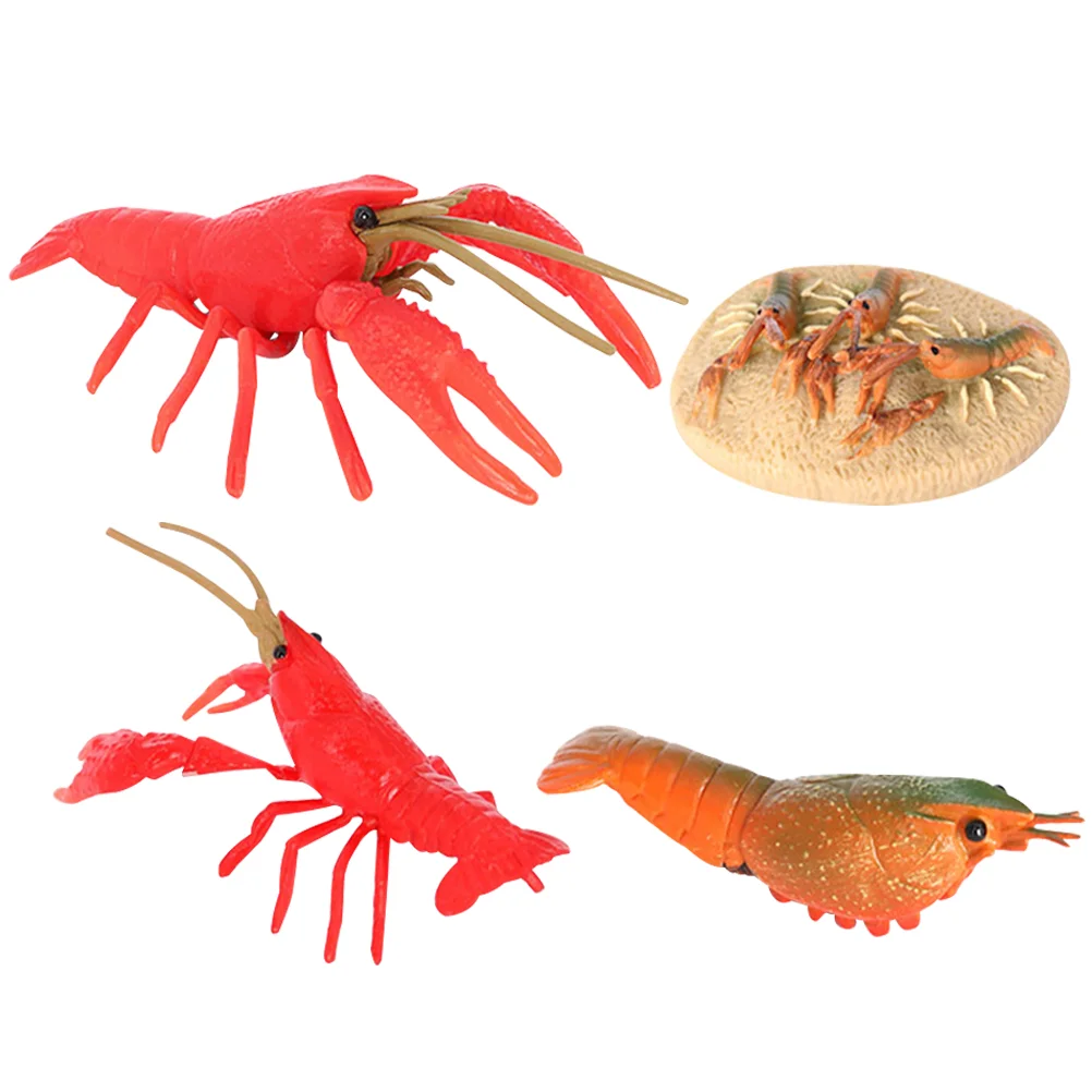 Toys Crayfish Cycle Toy Animal Life Models Model Figurines Kids Educational Growth Lobsterling Sea Learning Preschool Animals
Toys Crayfish Cycle Toy Animal Life Models Model Figurines Kids Educational Growth Lobsterling Sea Learning Preschool Animals