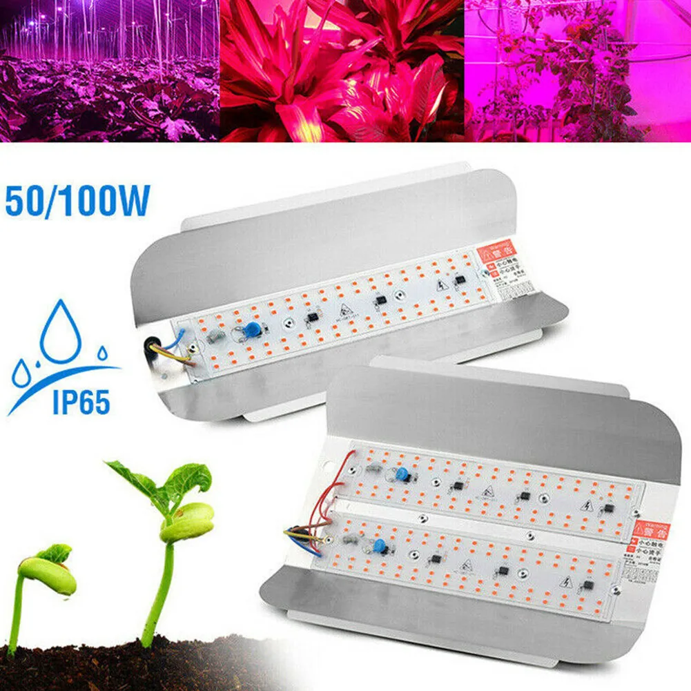 50W/100W Smart IC Full Spectrum Grow Light LED Grow Light AC220-240V Homw Seeds Phyto Lamp For Flower PhytoLamp For Plant
50W/100W Smart IC Full Spectrum Grow Light LED Grow Light AC220-240V Homw Seeds Phyto Lamp For Flower PhytoLamp For Plant