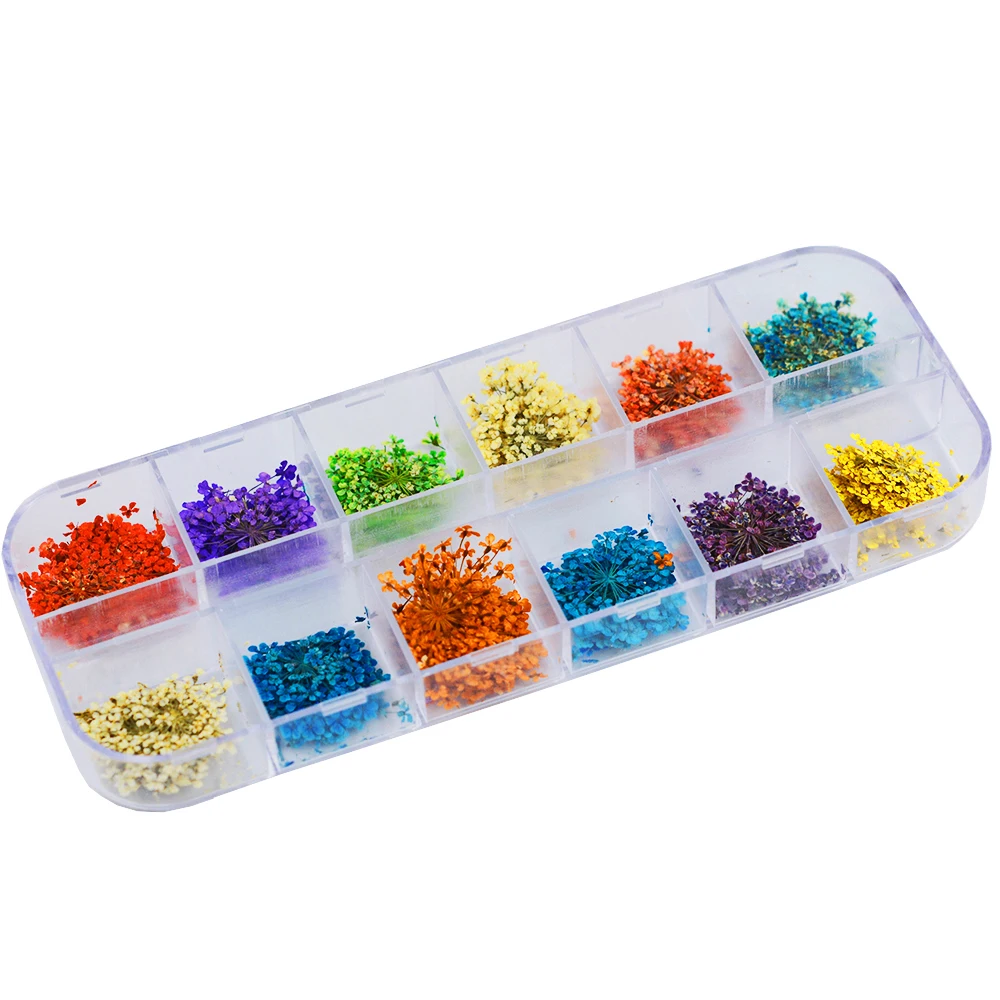 24Pcs 12Patterns 3D Dry Flowers Stickers Real Dried Flower Nail Art Decoration Tips DIY Manicure Tools Nail Charms Nail Supplies
24Pcs 12Patterns 3D Dry Flowers Stickers Real Dried Flower Nail Art Decoration Tips DIY Manicure Tools Nail Charms Nail Supplies