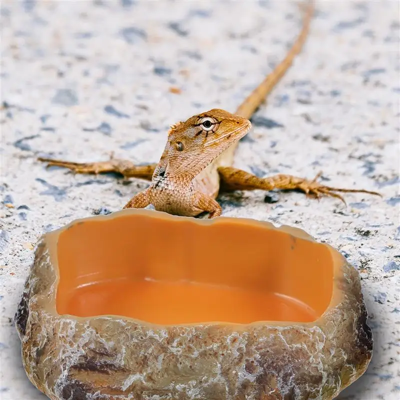 Reptile Food Water Worm Feeder Reptile Feeding Dish Reptile Food Dish Reptile Food Bowl Reptile Water Dish Reptile Worm Dish
Reptile Food Water Worm Feeder Reptile Feeding Dish Reptile Food Dish Reptile Food Bowl Reptile Water Dish Reptile Worm Dish