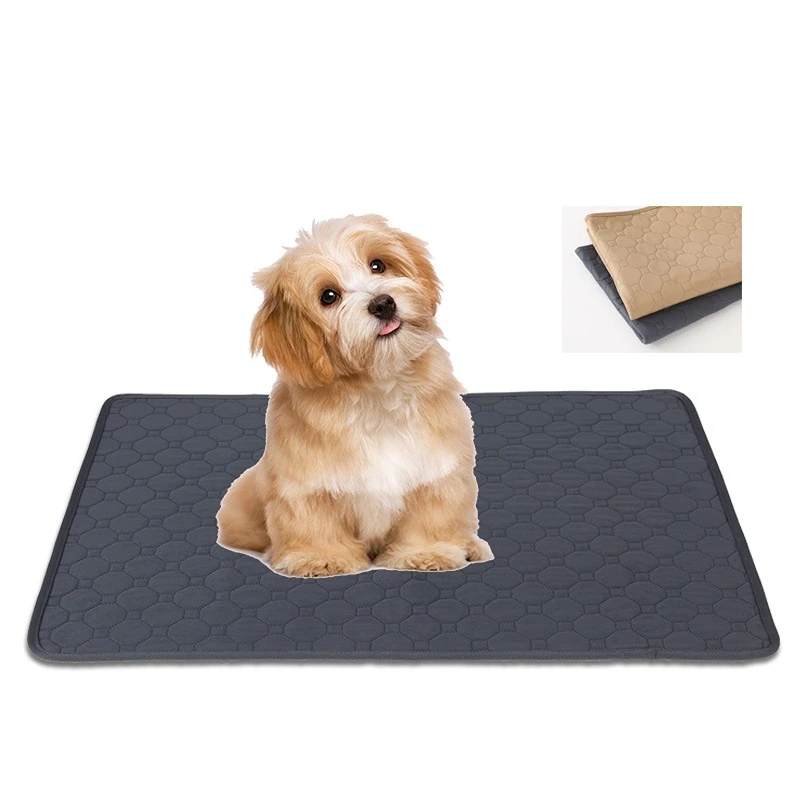 Common Washable Pet Urine Pad for Cats and Dogs Puppy Water Absorbing Easy Drying Anti-skid Urine Pad Pet Training Pad
Common Washable Pet Urine Pad for Cats and Dogs Puppy Water Absorbing Easy Drying Anti-skid Urine Pad Pet Training Pad