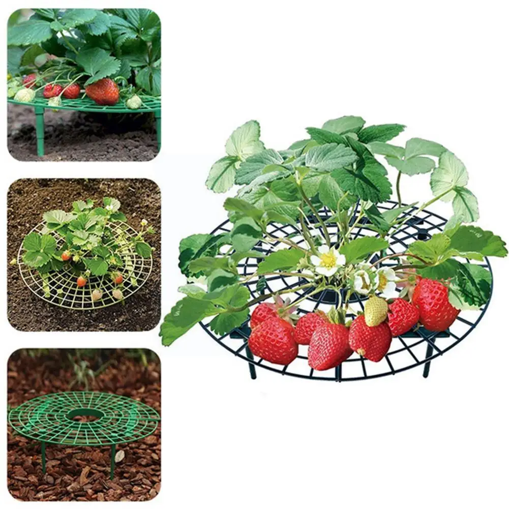 Strawberry Stand Frame Holder Balcony Flower Planting Climbing Supplies Pillar Vine Flower DIY Rack Stand Garden Support T7A5
Strawberry Stand Frame Holder Balcony Flower Planting Climbing Supplies Pillar Vine Flower DIY Rack Stand Garden Support T7A5