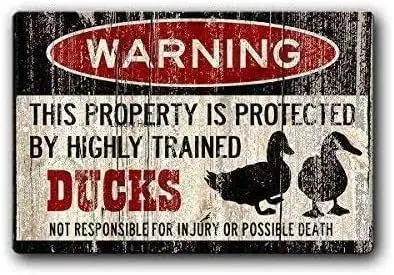 Cute Duck Metal Posters Duck Eggs Funny Duck Sign Metal Tin Sign Iron Painting 8X12 INCH Dorm Bar Home Garage Trainspotting
Cute Duck Metal Posters Duck Eggs Funny Duck Sign Metal Tin Sign Iron Painting 8X12 INCH Dorm Bar Home Garage Trainspotting