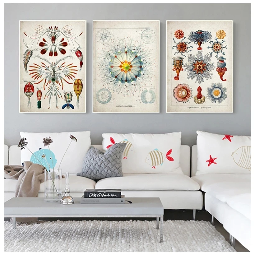 Marine Creatures Vintage Poster Jellyfish Corals Green Algae Sea Anemones Squirts Starfish Canvas Print Wall Art Canvas Painting
Marine Creatures Vintage Poster Jellyfish Corals Green Algae Sea Anemones Squirts Starfish Canvas Print Wall Art Canvas Painting