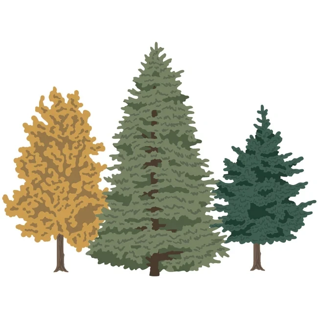 HonB Lovely Layers Trees Metal Cutting Dies for New May 2023 Scrapbooking Paper Making Embossing Frame Craft Card
HonB Lovely Layers Trees Metal Cutting Dies for New May 2023 Scrapbooking Paper Making Embossing Frame Craft Card