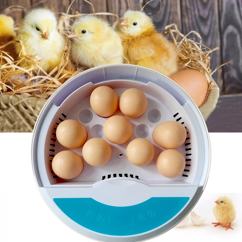 9 Eggs Incubator Automatic Temperature Control Hatchery Brooder with LED lamp for Duck Chicken Bird Quail Incubator
9 Eggs Incubator Automatic Temperature Control Hatchery Brooder with LED lamp for Duck Chicken Bird Quail Incubator