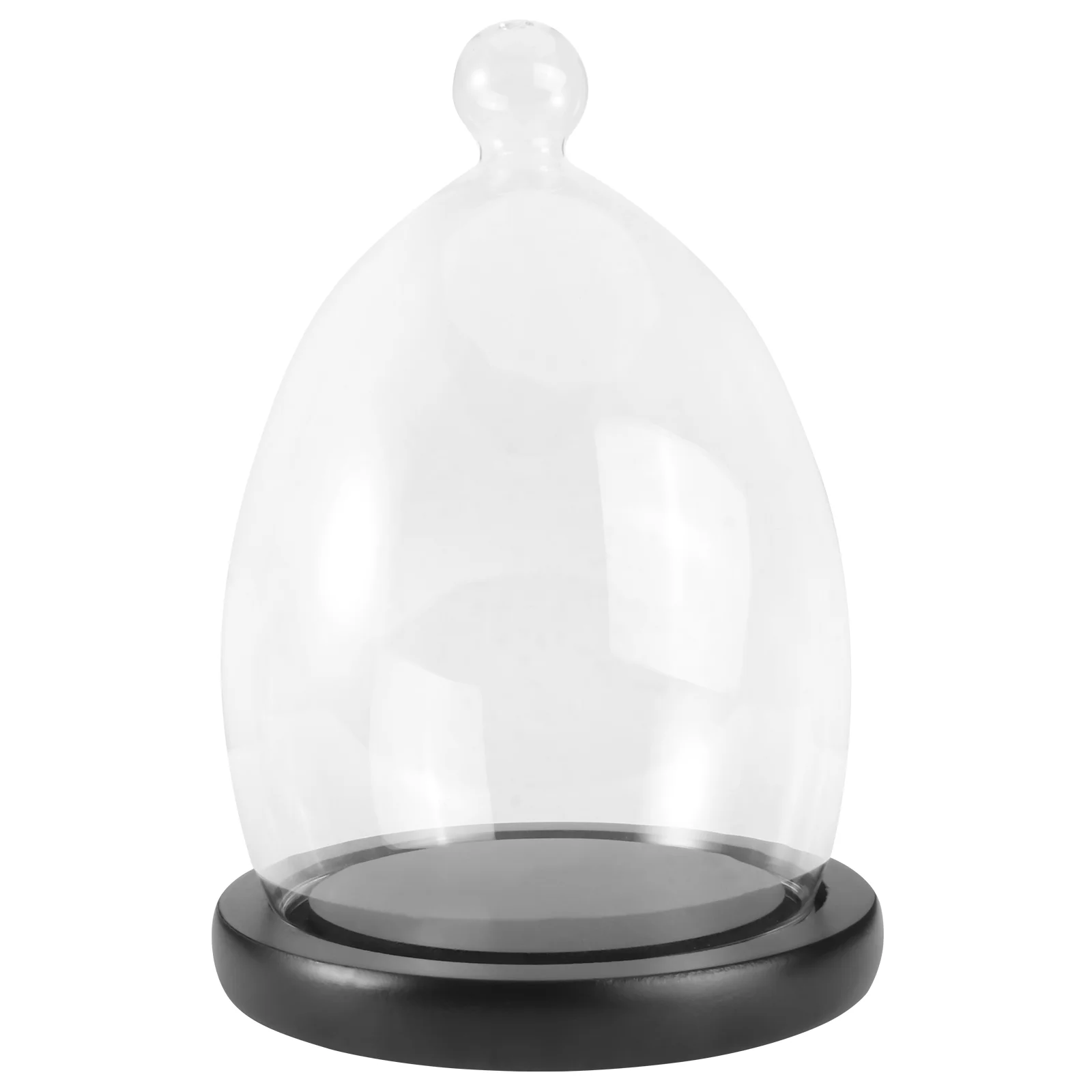 Dome Cover Cake Display Cloche Bell Jar Flower Clear Rose Dessert Stand Terrarium Case Lid Plate Holder Preserved Covers Eternal
Dome Cover Cake Display Cloche Bell Jar Flower Clear Rose Dessert Stand Terrarium Case Lid Plate Holder Preserved Covers Eternal