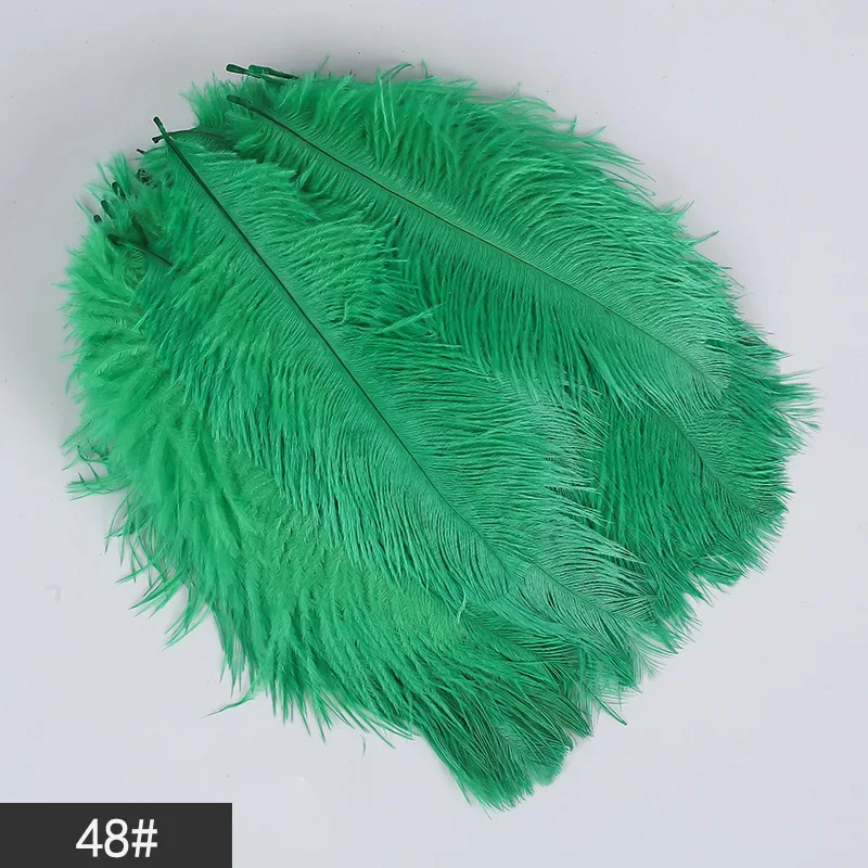 100PCS 15-20 CM Ostrich Feathers for Vase DIY Dream Catcher Decor Plume Crafts Hair Wedding Centerpiece Needlework Accessories
100PCS 15-20 CM Ostrich Feathers for Vase DIY Dream Catcher Decor Plume Crafts Hair Wedding Centerpiece Needlework Accessories