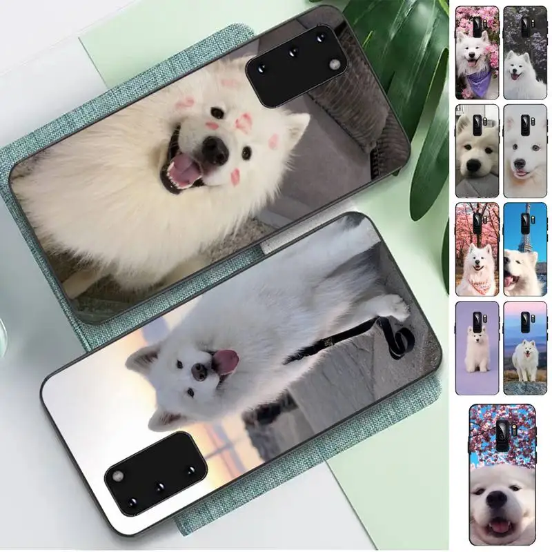 Lovely Samoyed dog Phone Case for Samsung S10 21 20 9 8 plus lite S20 UlTRA 7edge
Lovely Samoyed dog Phone Case for Samsung S10 21 20 9 8 plus lite S20 UlTRA 7edge