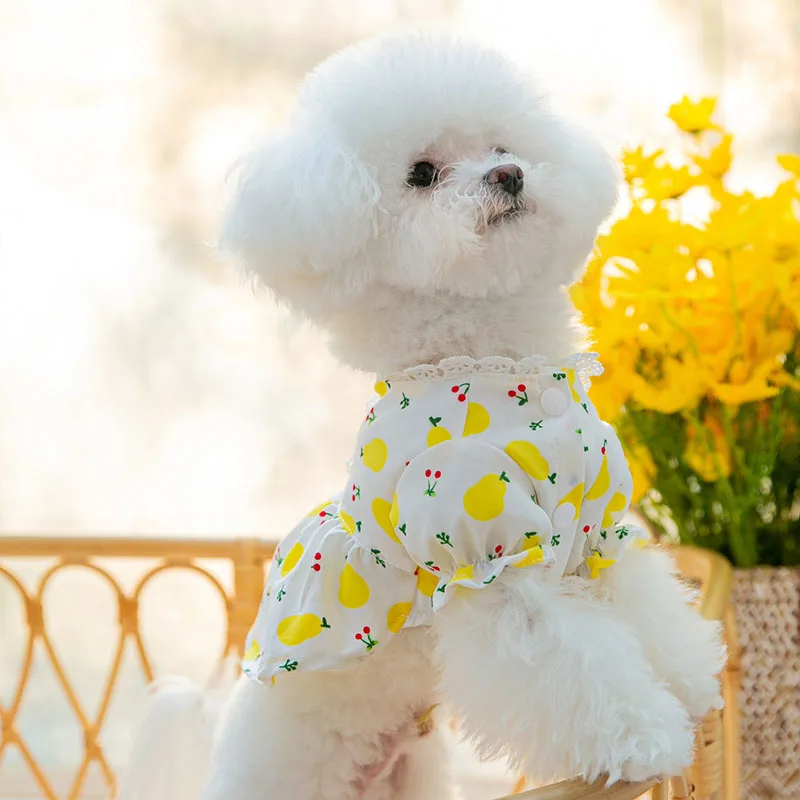 Pet Fruit Clothes Summer Floral Skirts Cool Dog Clothes Sydney Print Teddy Dresses Puppy Fashion Clothes XS-XL
Pet Fruit Clothes Summer Floral Skirts Cool Dog Clothes Sydney Print Teddy Dresses Puppy Fashion Clothes XS-XL
