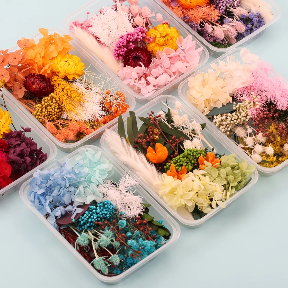1 Box Real Natural Dried Flowers Plants for Epoxy Resin Candle Molds Diy Case Handmade Crafts Home Decoration Making Accessories
1 Box Real Natural Dried Flowers Plants for Epoxy Resin Candle Molds Diy Case Handmade Crafts Home Decoration Making Accessories