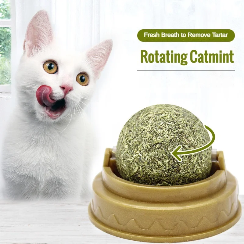 Natural Catnip Cat Wall Stick-on Ball Toy Scratchers Treats Healthy Natural Removes Balls To Promote Digestion Cat Grass Snack
Natural Catnip Cat Wall Stick-on Ball Toy Scratchers Treats Healthy Natural Removes Balls To Promote Digestion Cat Grass Snack