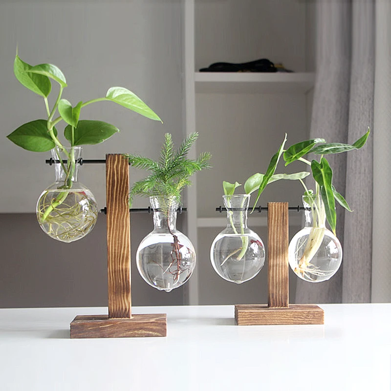 Terrarium Plant Vases Hydroponic Vintage Glass Flower Pot Transparent Plant Pot Wooden
Terrarium Plant Vases Hydroponic Vintage Glass Flower Pot Transparent Plant Pot Wooden