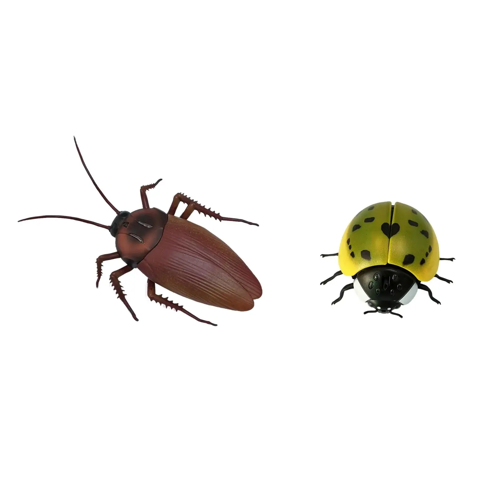Lifelike Insect Toy Figures Unique Prank Toy Education and Learning Toys Realistic Bugs Electric Crawling Insect for Boys Girls
Lifelike Insect Toy Figures Unique Prank Toy Education and Learning Toys Realistic Bugs Electric Crawling Insect for Boys Girls