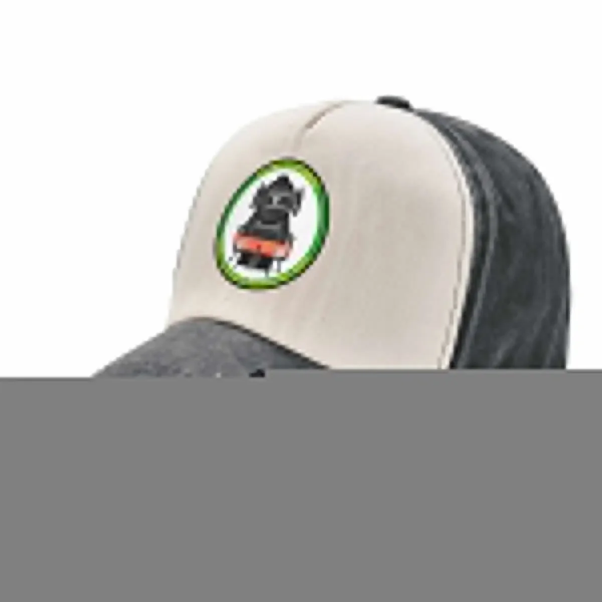ЛНЕР Летающий Скоттсмен No 4472 Круглый дизайн Бейсболка Wild Ball Hat Icon Рыболовная