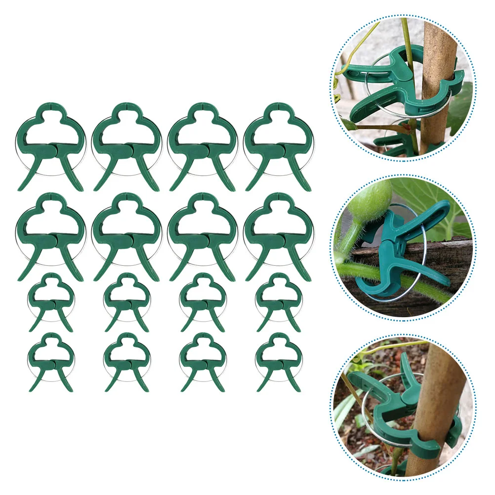 Clips Clip Orchid Garden Fixed Vines Fixing Support Clamp Flower Climbing Trellistomato Tool Vine Stems Spring Supporting
Clips Clip Orchid Garden Fixed Vines Fixing Support Clamp Flower Climbing Trellistomato Tool Vine Stems Spring Supporting