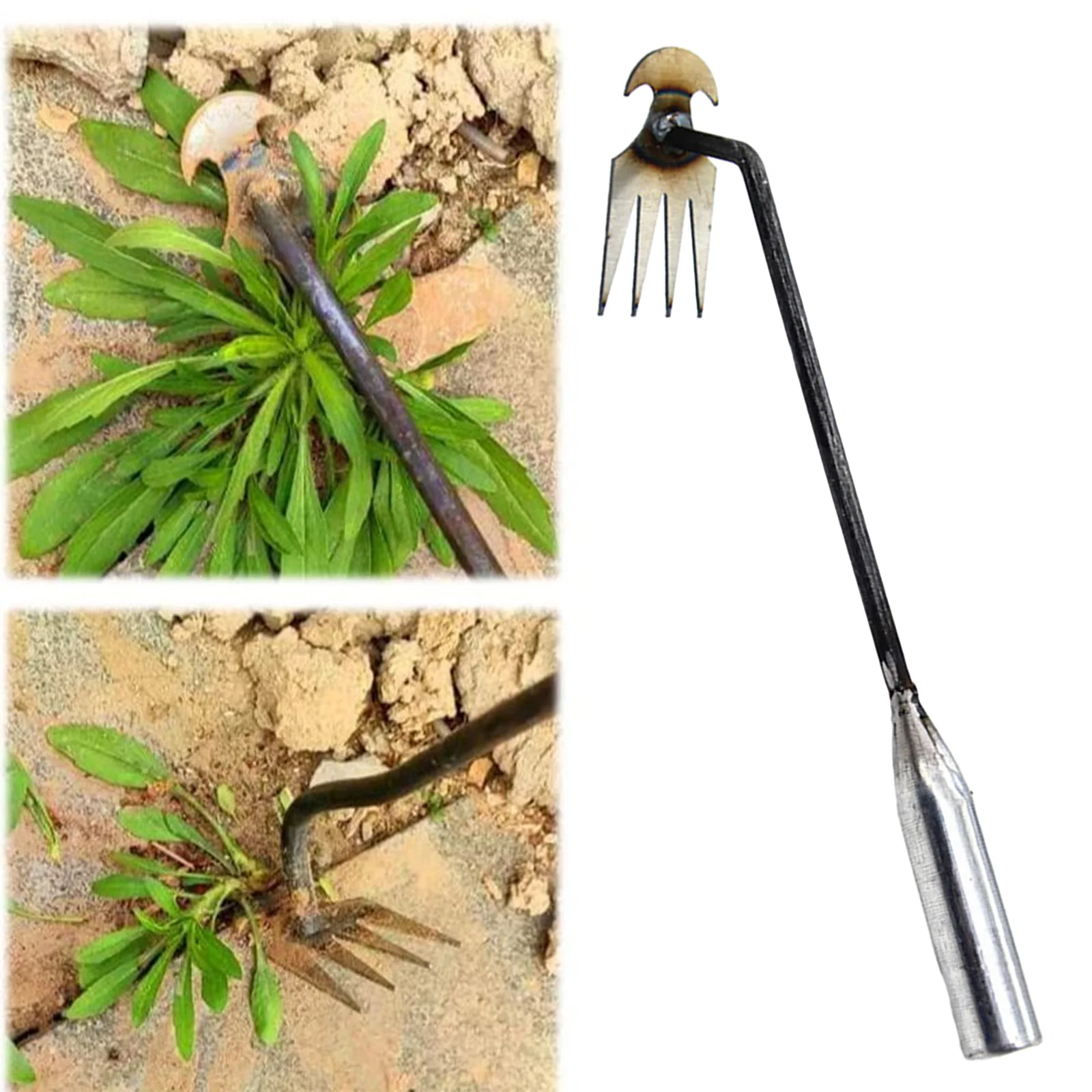 Foot-operated Weeder Root Remover Tool & Weeding Artifact Uprooting Weeding Tool Four-tooth Manganese Steel Garden Hand Tool
Foot-operated Weeder Root Remover Tool & Weeding Artifact Uprooting Weeding Tool Four-tooth Manganese Steel Garden Hand Tool