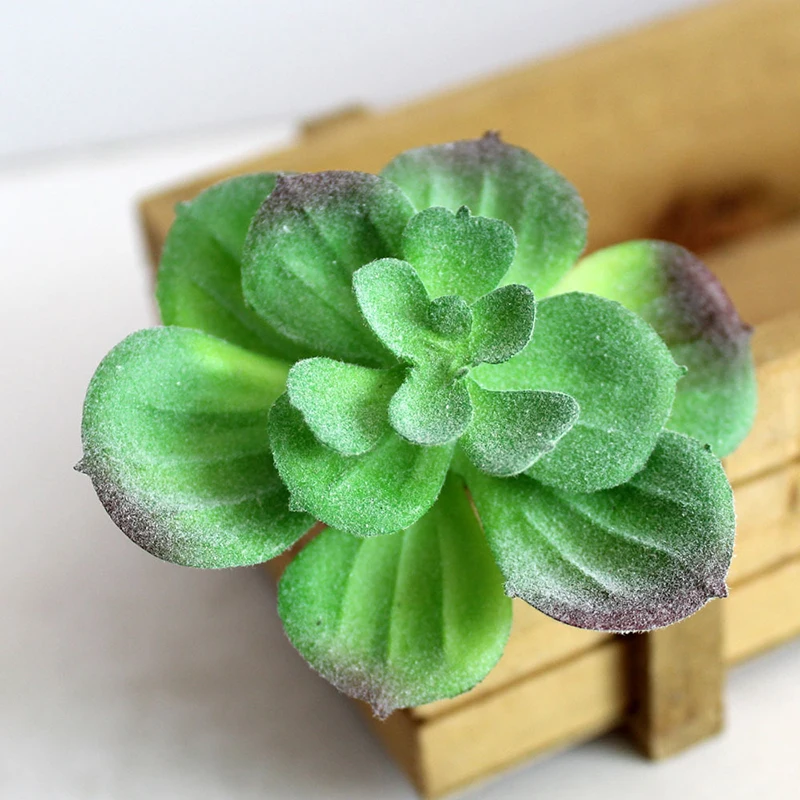 Artificial Succulents Flocking Plant Fake Flower Desktop Simulation Landscape Festival Wedding Party Home Garden Decor
Artificial Succulents Flocking Plant Fake Flower Desktop Simulation Landscape Festival Wedding Party Home Garden Decor