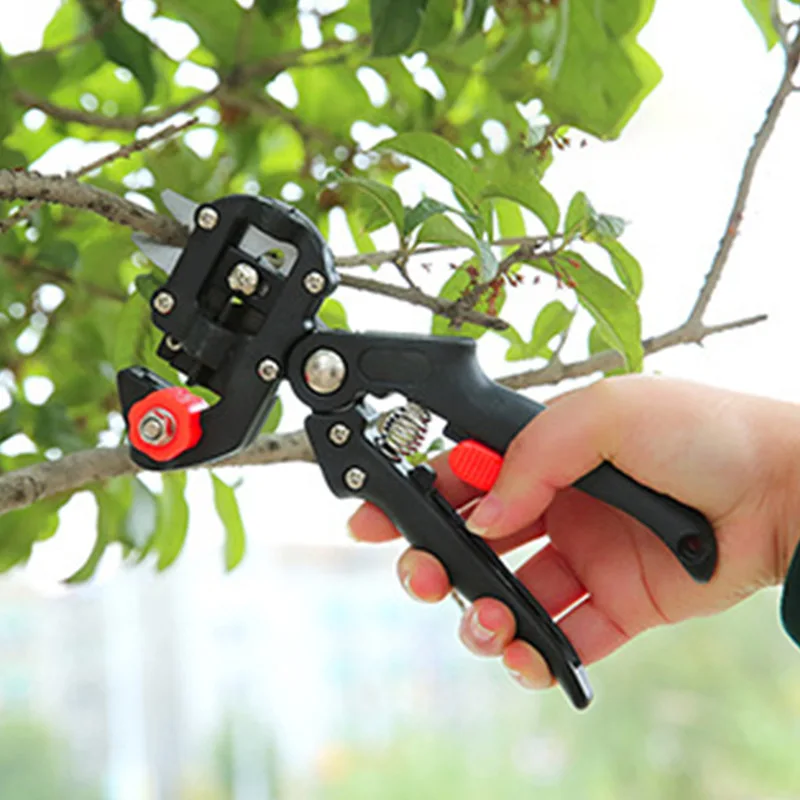 Pruning shears garden tools seedlings pruning fruit tree grafting fruit tree shears gardening scissors set
Pruning shears garden tools seedlings pruning fruit tree grafting fruit tree shears gardening scissors set