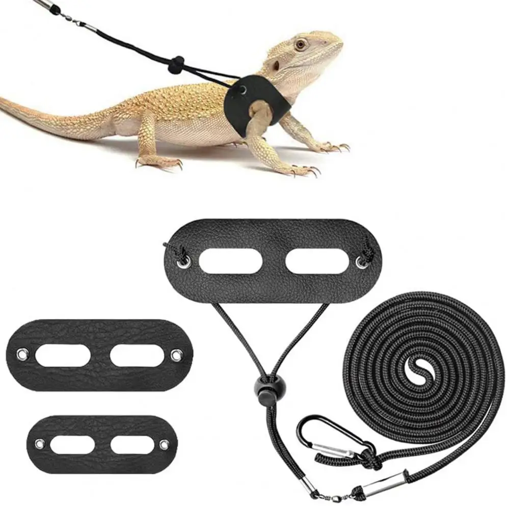 Durable Wear-resistant Portable Pet Lizard Chest Harness Reptile Leash Set Lightweight Lizard Leash Pet Supplies
Durable Wear-resistant Portable Pet Lizard Chest Harness Reptile Leash Set Lightweight Lizard Leash Pet Supplies