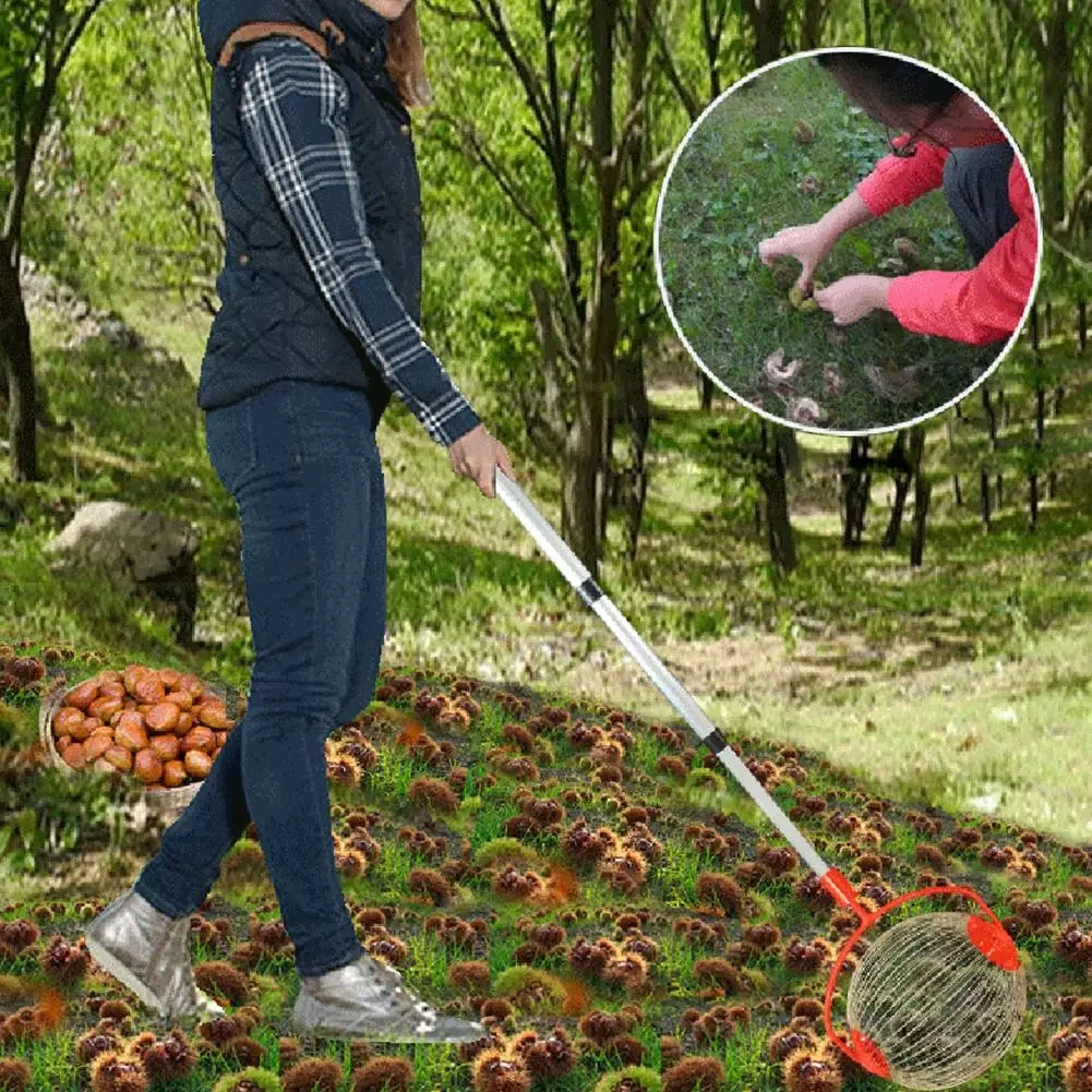 Chestnuts Harvester Garden Roller Harvester Retractable Aluminum Alloy Boom Garden Fruit Picker Family Orchards Tool
Chestnuts Harvester Garden Roller Harvester Retractable Aluminum Alloy Boom Garden Fruit Picker Family Orchards Tool