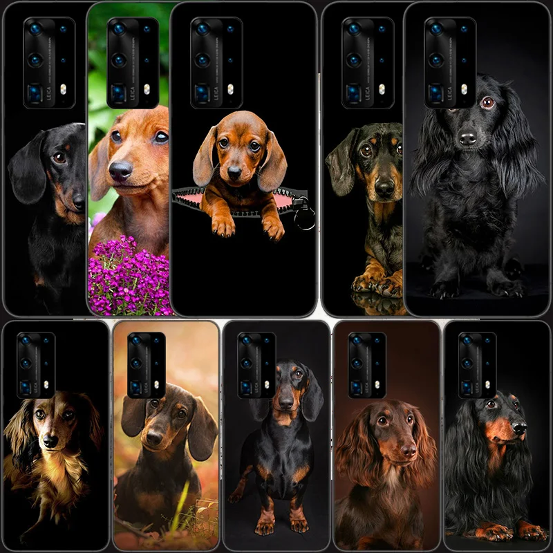 Dachshund Doberman Dog Soft Clear Phone Case For Huawei P30 Lite P10 P20 P40 P50 Pro Mate 40 Pro 30 20 10 Lite Cover Silicone
Dachshund Doberman Dog Soft Clear Phone Case For Huawei P30 Lite P10 P20 P40 P50 Pro Mate 40 Pro 30 20 10 Lite Cover Silicone